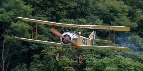 A vintage biplane flying low over lush green trees, showcasing its classic design and spinning propeller.