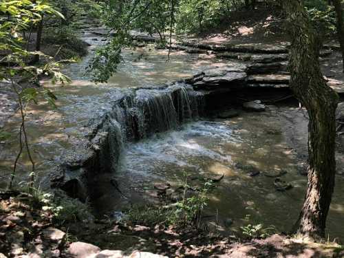 A small waterfall cascades over rocks into a serene stream, surrounded by lush greenery and trees.