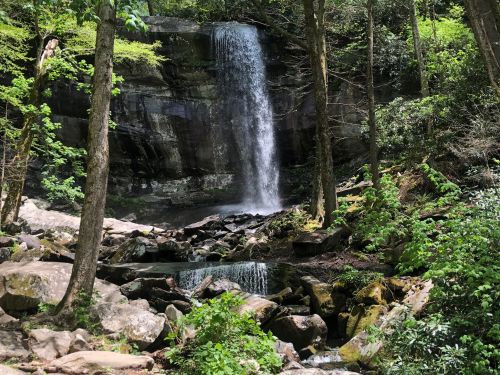 A serene waterfall cascades down rocky cliffs, surrounded by lush green trees and foliage in a tranquil forest setting.