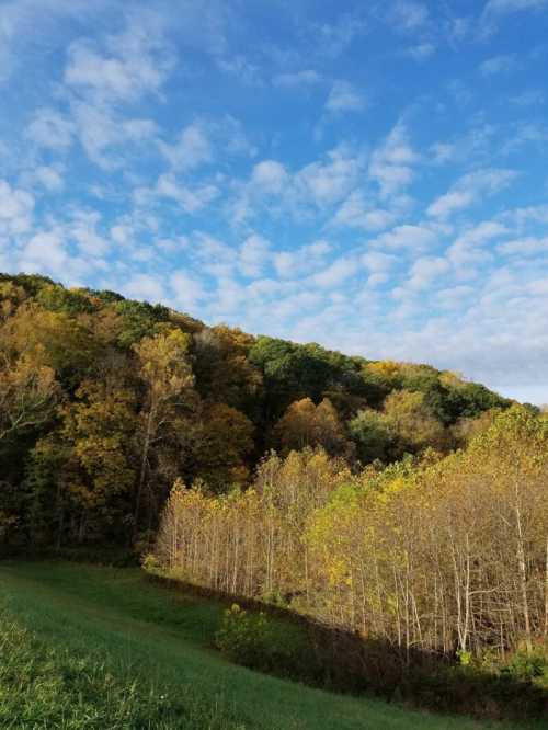 A scenic view of a hillside with autumn foliage under a partly cloudy blue sky.