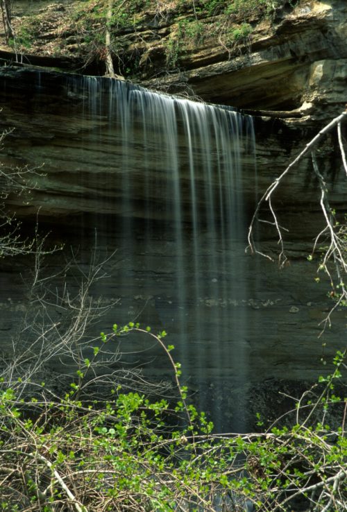 A serene waterfall cascading over rocky cliffs, surrounded by lush greenery and bare branches.
