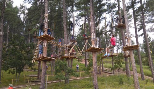 A treetop adventure course with wooden platforms and ropes, surrounded by tall trees and people navigating the obstacles.