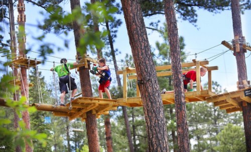 Three children navigate a wooden obstacle course high in the trees, surrounded by tall pine trees and blue sky.