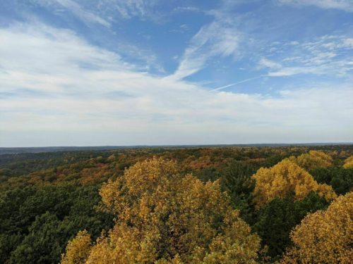 A panoramic view of a forest with autumn foliage under a partly cloudy sky.