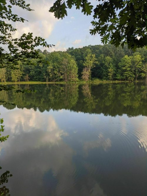 A serene lake surrounded by lush trees, reflecting the sky and foliage on its calm surface.