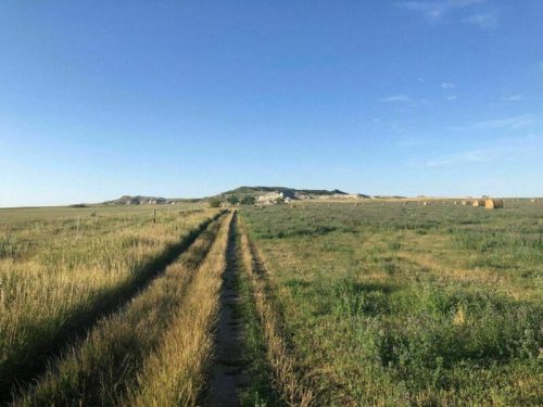 A dirt path leads through a grassy field towards a distant hill under a clear blue sky.