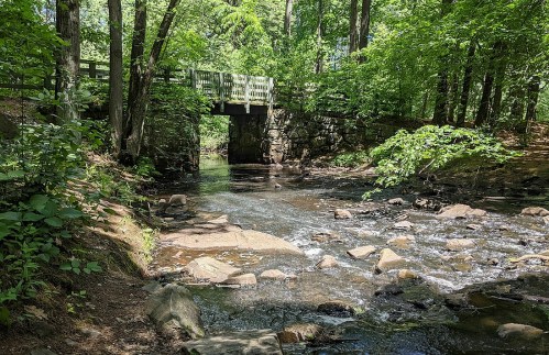 A serene stream flows under a wooden bridge, surrounded by lush green trees and rocky banks.