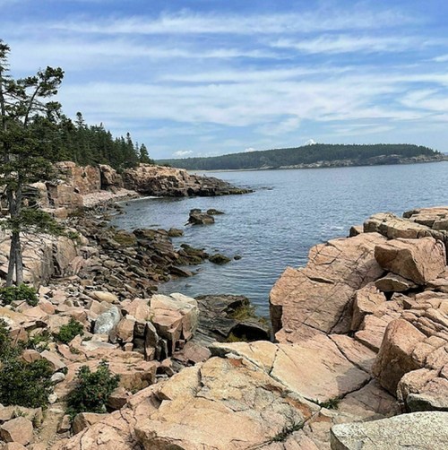 Rocky coastline with trees, calm water, and distant hills under a clear blue sky.