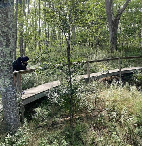 A person crouches near a wooden boardwalk surrounded by lush greenery in a forested area.