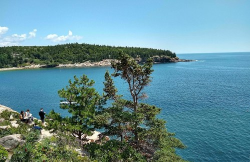 A serene coastal view with trees, calm blue water, and people enjoying the scenery under a clear sky.