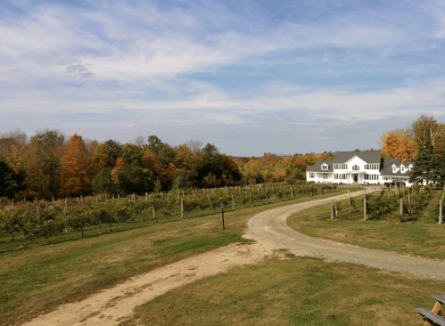 A scenic vineyard with a winding path, colorful autumn trees, and a large white house in the background.