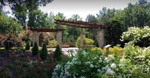 A serene garden scene featuring a stone pergola surrounded by lush greenery and blooming white flowers.