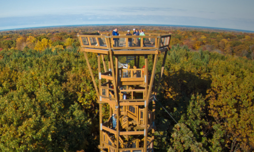 A wooden observation tower surrounded by colorful autumn trees, with people enjoying the view from the top.