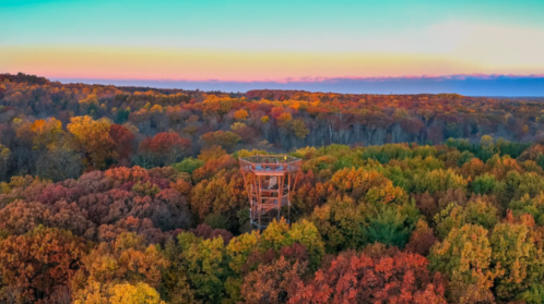 Aerial view of a forest in autumn, showcasing vibrant fall foliage and a lookout tower against a colorful sunset sky.