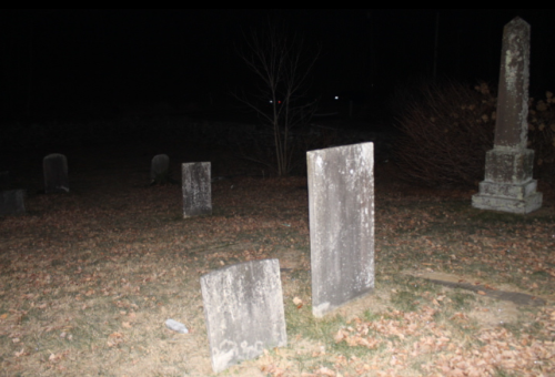 Gravestones in a dark, overgrown cemetery, surrounded by fallen leaves and sparse vegetation.