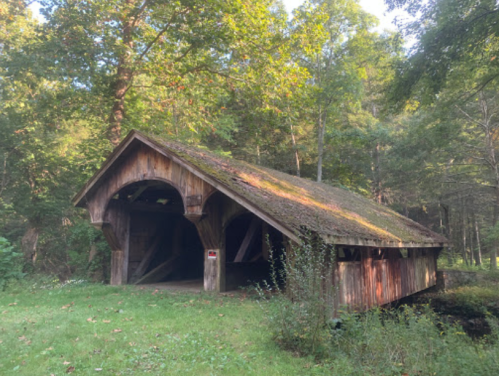 A rustic wooden covered bridge surrounded by lush greenery and trees.