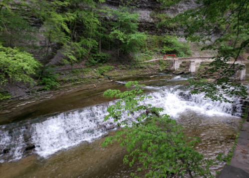 A serene river flows over rocks, surrounded by lush green trees and a rocky cliff in the background.