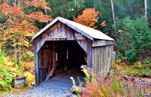 A rustic wooden covered bridge surrounded by autumn foliage and trees.