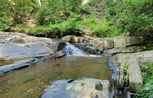 A serene stream flows over rocks, surrounded by lush greenery in a peaceful natural setting.