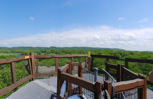 A panoramic view from a wooden observation deck overlooking lush green hills and a clear blue sky.