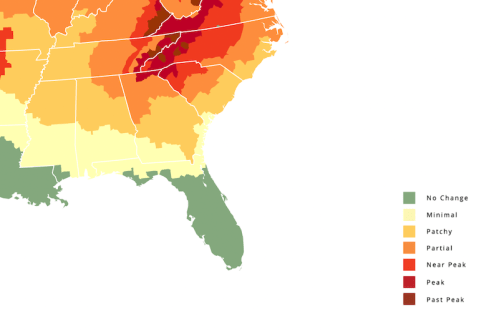Map of the southeastern U.S. showing foliage color change, with a gradient from green (no change) to red (past peak).