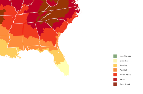 Map of the Southeastern U.S. showing fall foliage status with color-coded regions indicating peak and past peak conditions.
