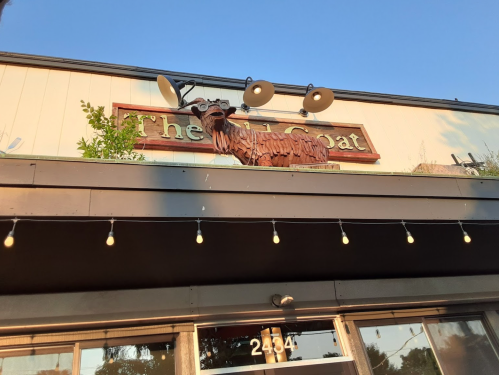 Sign for "The Goat" restaurant with a goat sculpture on the roof, surrounded by lights and greenery.