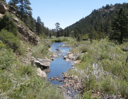 A serene river flows through a lush green landscape, surrounded by rocky hills and tall trees under a clear blue sky.