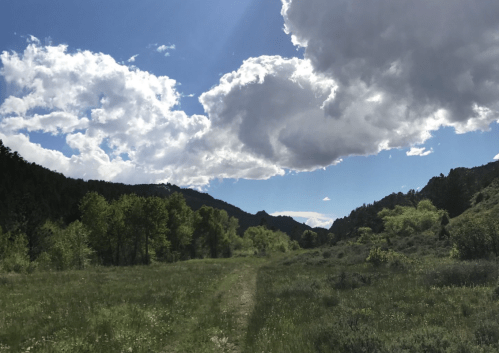 A scenic landscape featuring a grassy path, lush trees, and a blue sky with fluffy clouds over distant mountains.