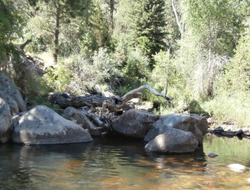 A serene river scene with rocks, a fallen tree, and lush greenery along the banks.