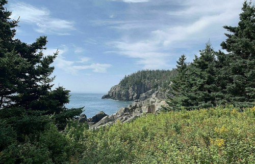 A coastal view featuring rocky cliffs, lush greenery, and a serene ocean under a partly cloudy sky.