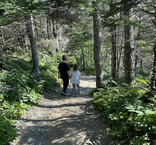 Two children walking hand in hand along a forest trail surrounded by trees and greenery.