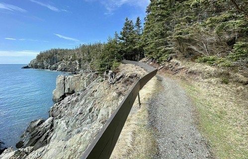 A scenic coastal path winds along rocky cliffs, surrounded by trees and overlooking a calm blue sea.