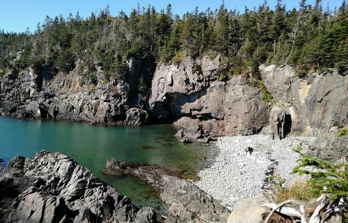 Rocky coastline with clear blue water, surrounded by lush green trees and a pebbly beach under a clear sky.