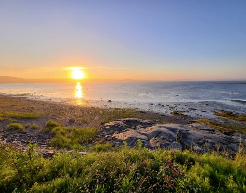 Sunset over a calm sea, with rocky shore and green grass in the foreground, creating a serene coastal scene.