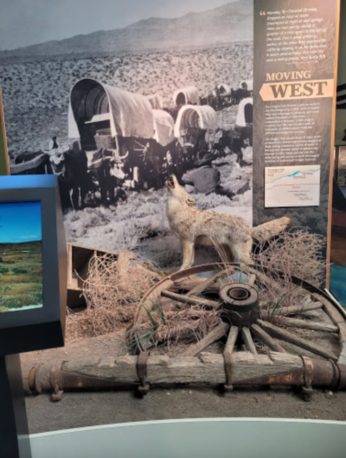 A display featuring a wolf statue on a wooden wagon wheel, with a historical photo of covered wagons in the background.