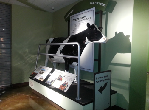 A life-sized model of a black and white cow displayed in an educational exhibit about Oregon dairy farming.