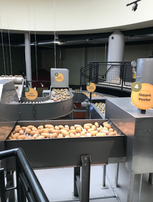 Conveyor system with potatoes in a processing facility, featuring signs for different stages like "Steam Peeler."
