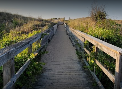 A wooden walkway leads through tall grass and greenery towards a sandy path.
