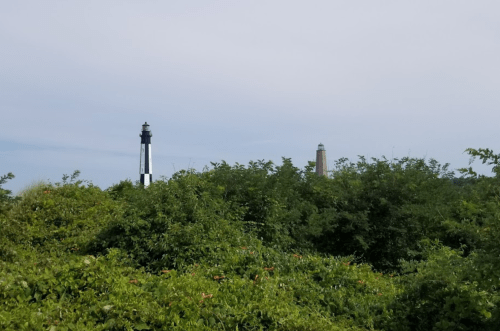 Two lighthouses partially visible behind dense green foliage under a cloudy sky.