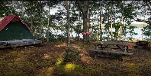 A campsite with a tent, picnic table, and fire pit, surrounded by trees and overlooking a lake.