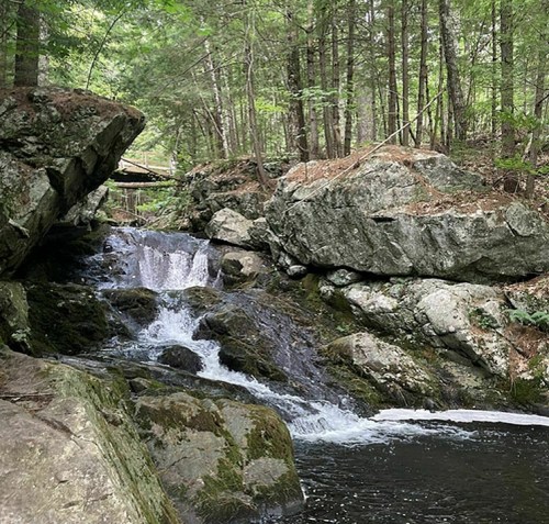 A serene waterfall cascades over rocks, surrounded by lush green trees in a tranquil forest setting.