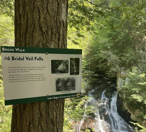 Sign for Bridal Veil Falls along a wooded trail, with a waterfall visible in the background.