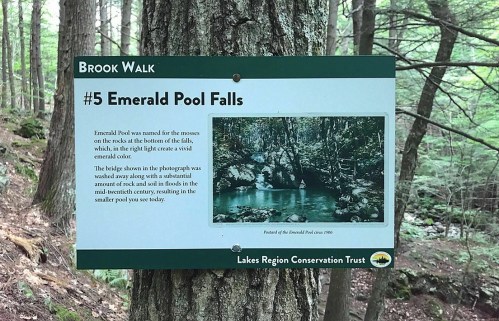 Sign for Emerald Pool Falls on Brook Walk, describing the location and its vibrant emerald color in a forested area.
