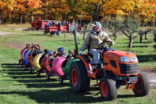 A man drives a tractor pulling colorful barrels as children enjoy a ride through an autumn landscape with vibrant trees.