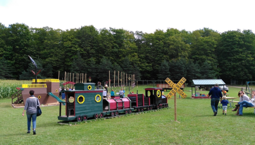 A colorful playground with a train structure, slides, and climbing areas, set in a grassy field surrounded by trees.