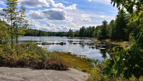 A serene lake surrounded by trees and rocky shores, with fluffy clouds reflecting in the calm water.