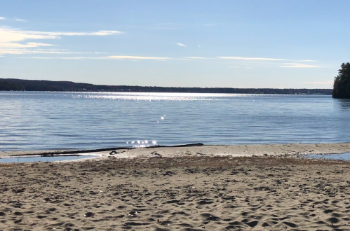 A serene beach scene with calm water reflecting sunlight and a sandy shore under a clear blue sky.