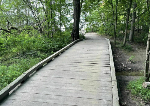 A wooden bridge leads through a lush green forest, surrounded by trees and foliage.
