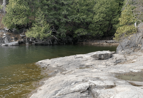 A rocky shoreline with calm water and dense green trees in the background.